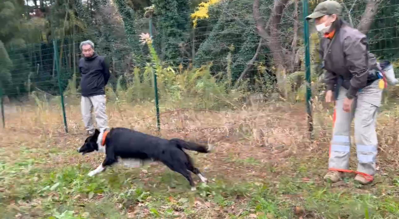 パレットを活用した訓練設備