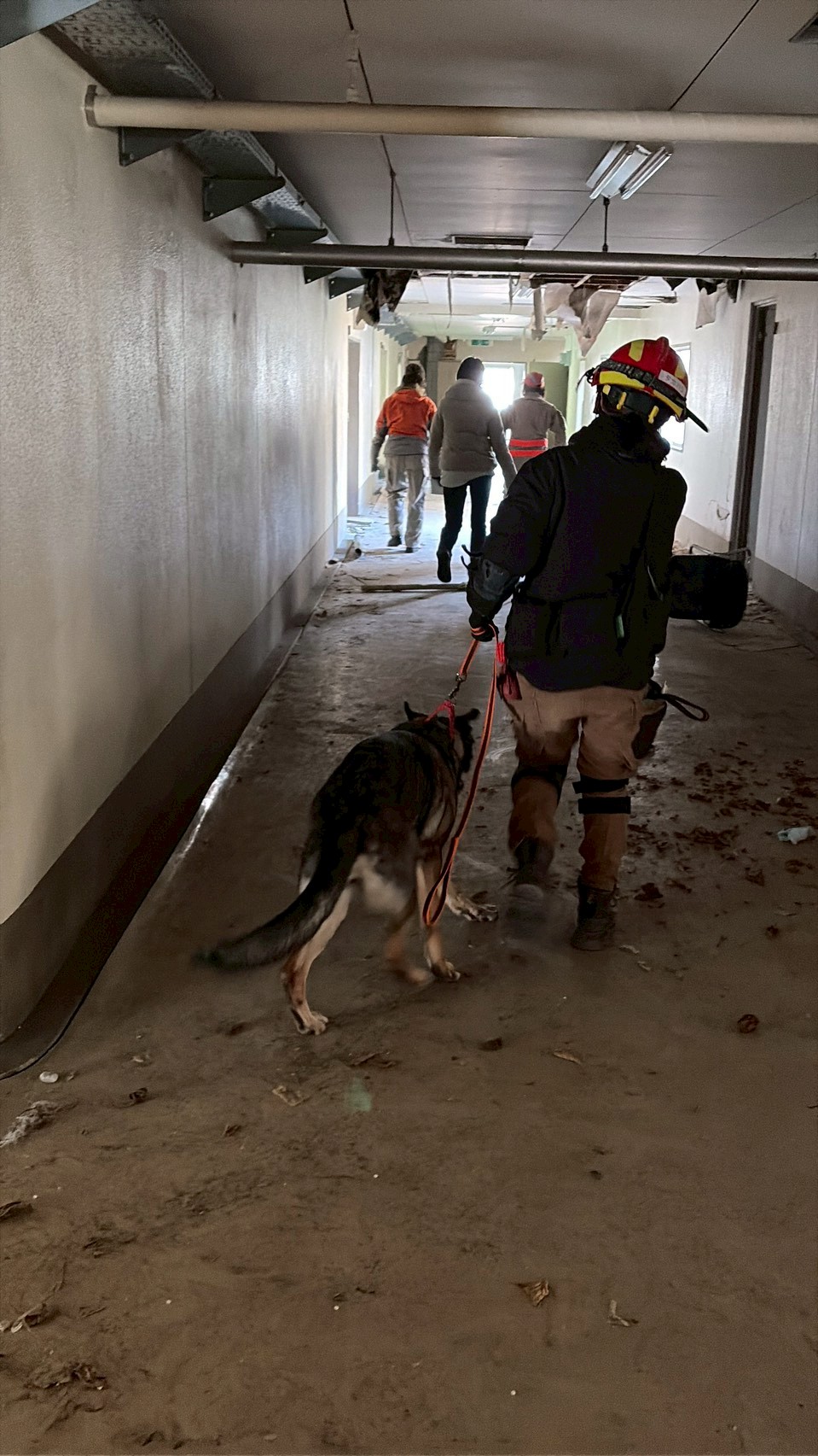 救助犬捜索開始シーン
